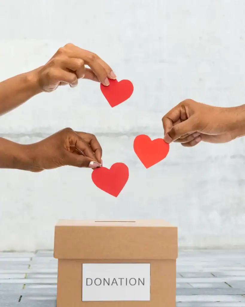 sustainable wedding registry ideas