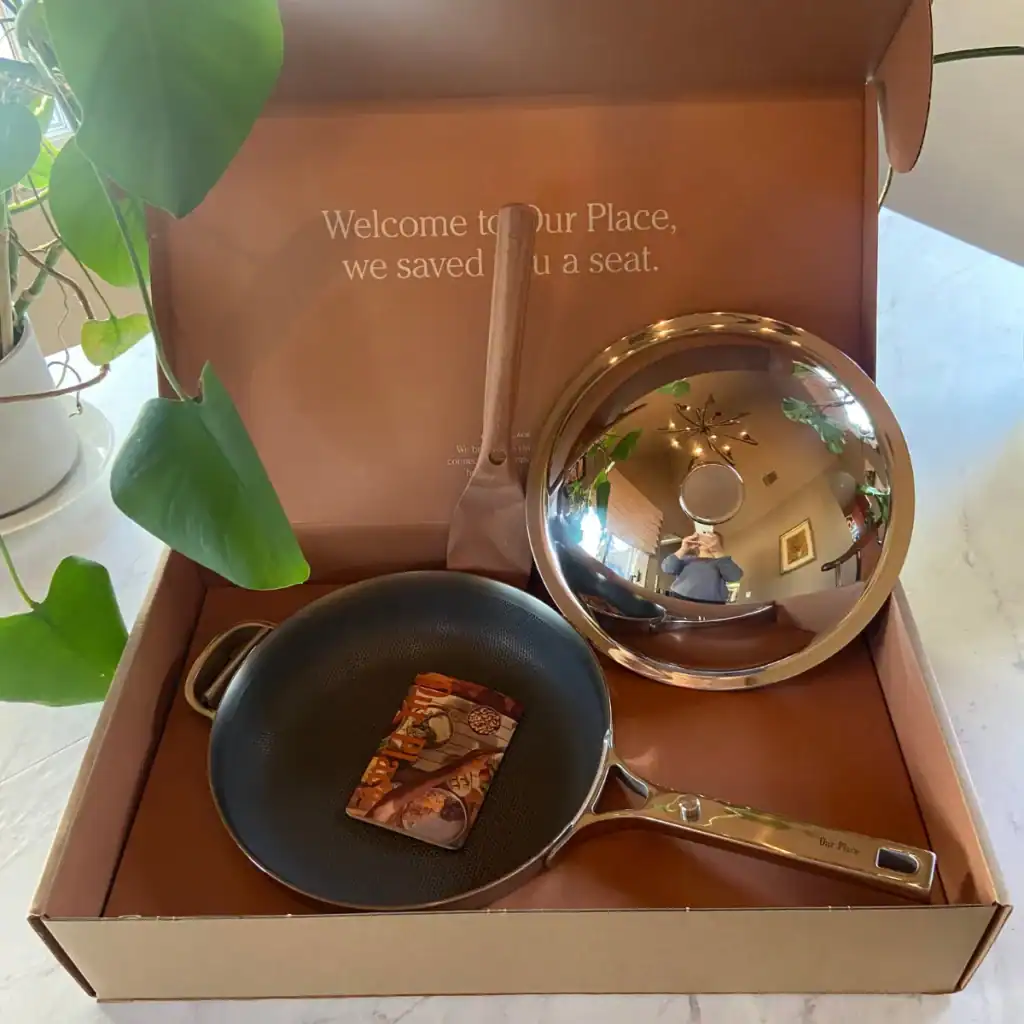 honest our place pan review