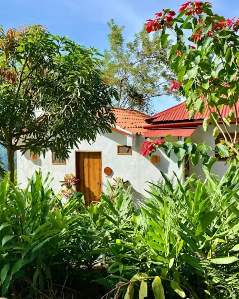 Budget Eco Hostels
