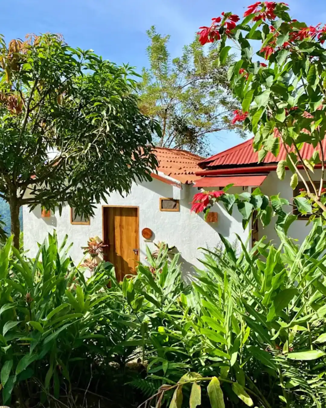 Budget Eco Hostels