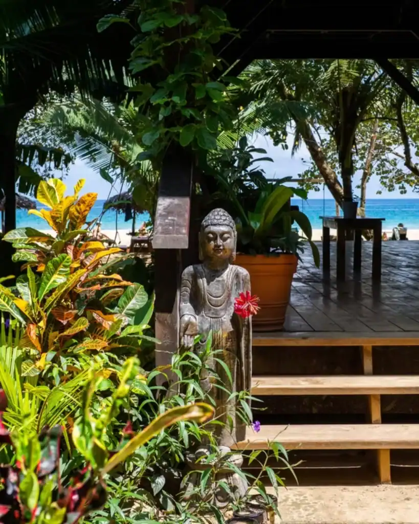 Eco-Conscious Hostels