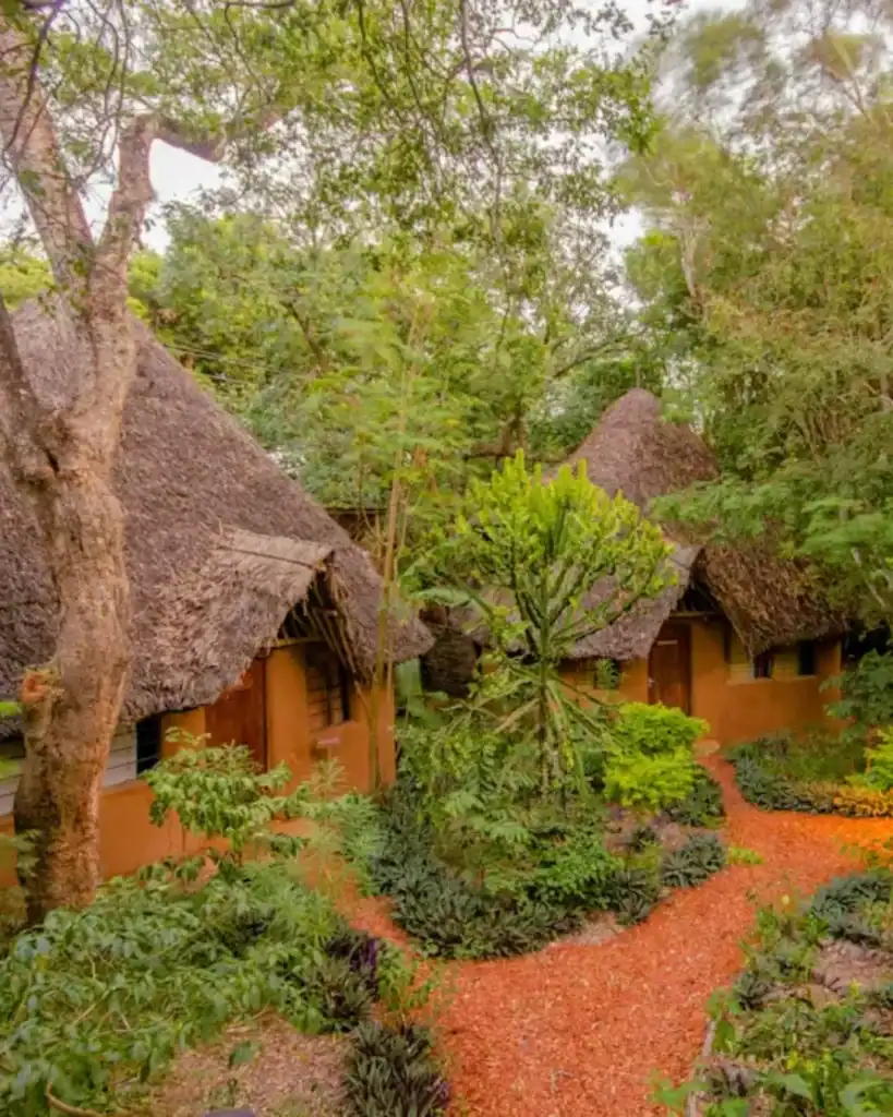 Eco Hostel Experience