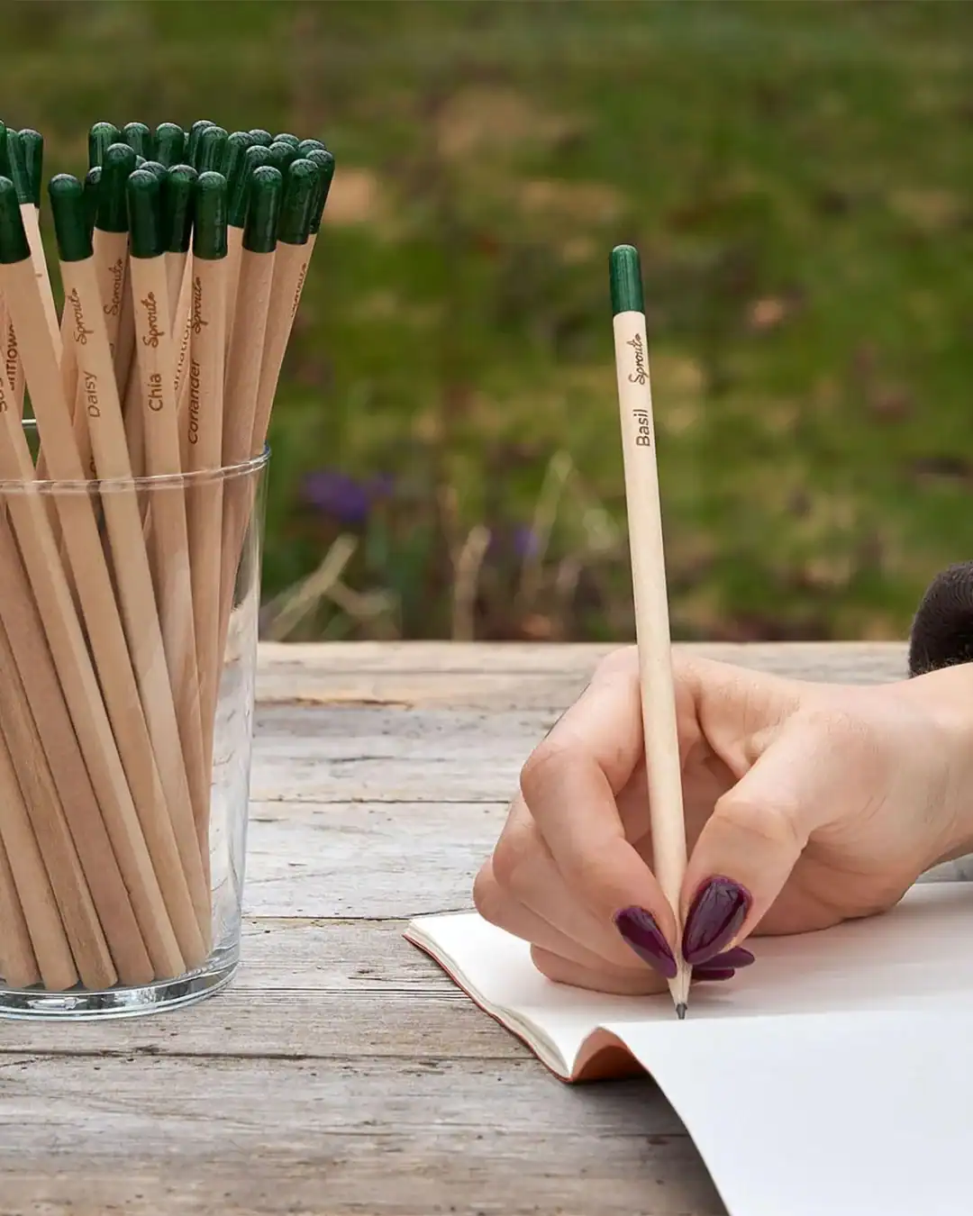 Compostable School Supplies
