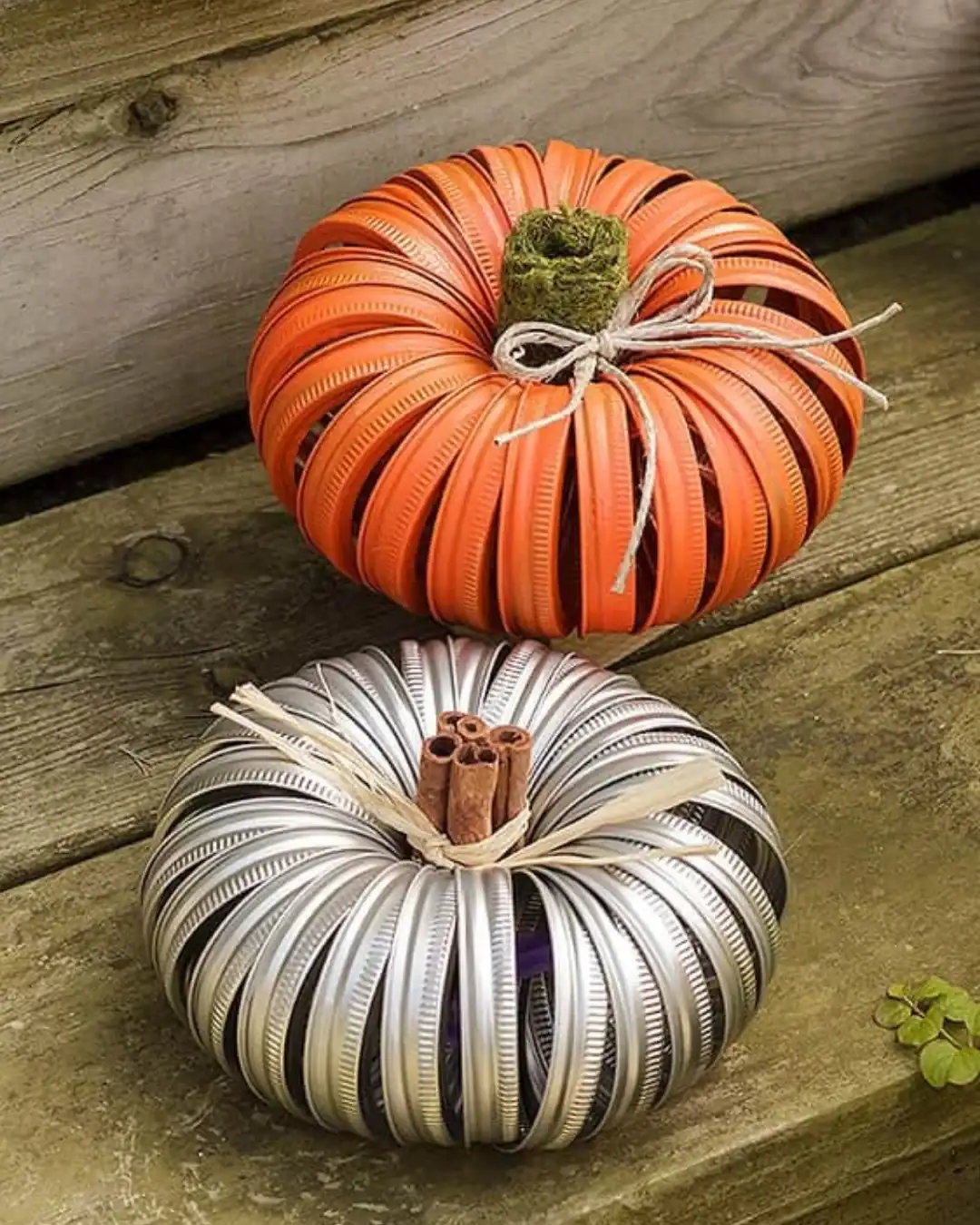 Organic Fall Home Decor