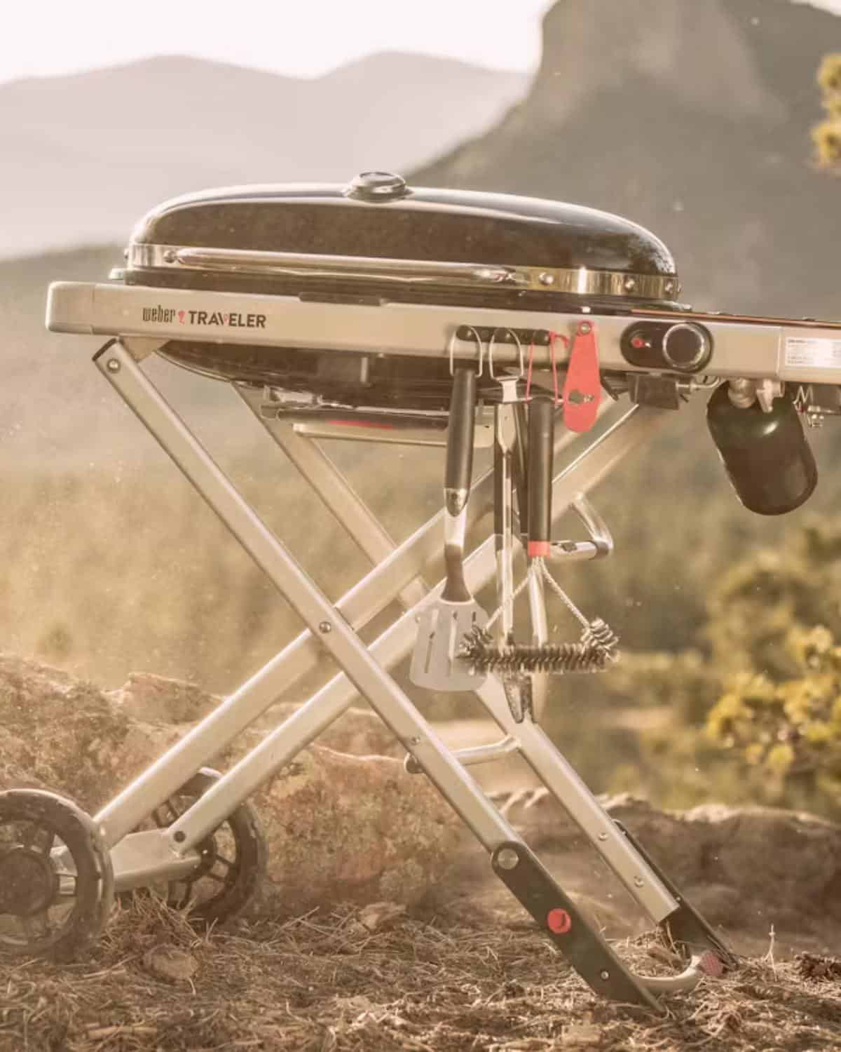 Best non-toxic BBQs