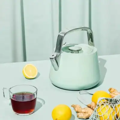 Caraway mist green non-toxic tea kettle with ceramic-coated stainless steel, PFAS-free and safe for daily use.