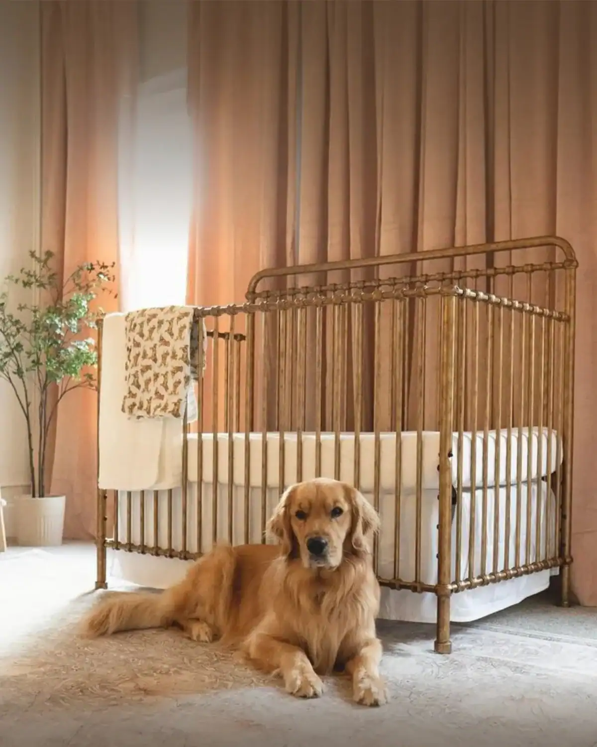 Non-Toxic Baby Cribs 2025