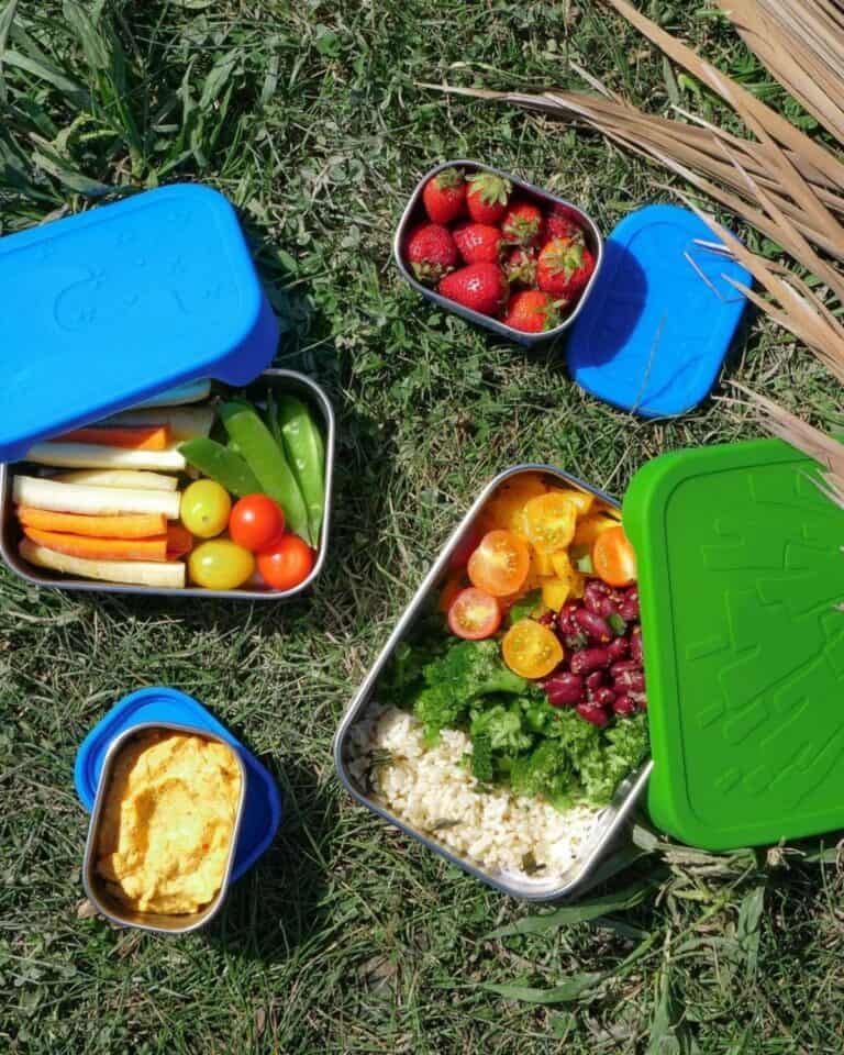 Sustainable Lunch Containers