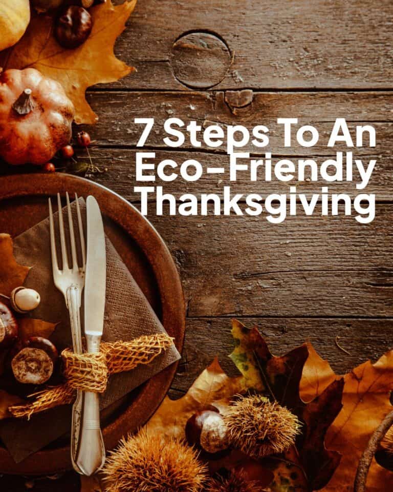 Low-Waste Thanksgiving Tips For Families