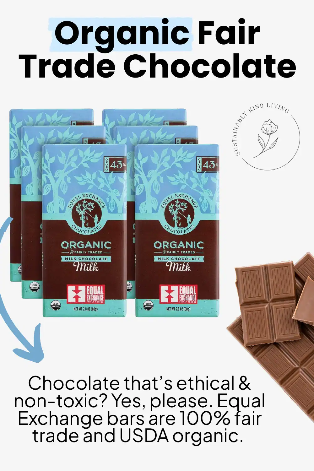 Equal Exchange fair trade organic chocolate bars, ethically sourced and non-toxic for Halloween gifting.