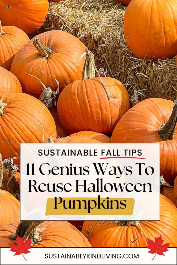 Text reading "11 Genius Ways To Reuse Halloween Pumpkins", showcasing 1 image of a batch of Halloween pumpkins.
