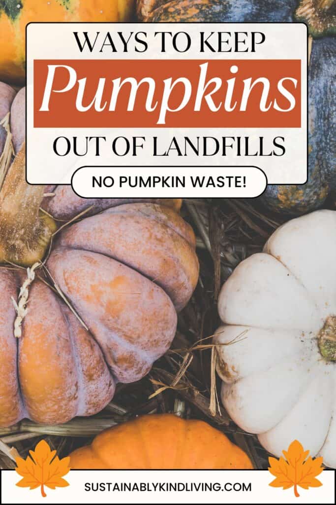 Text reading "Ways To Keep Pumpkins Out Of Landfills", showcasing 1 image of batch of pumpkins.