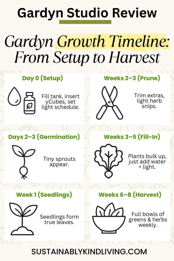 Gardyn Studio indoor garden growth timeline infographic showing setup, germination, seedling stage, pruning, and fresh food harvest.