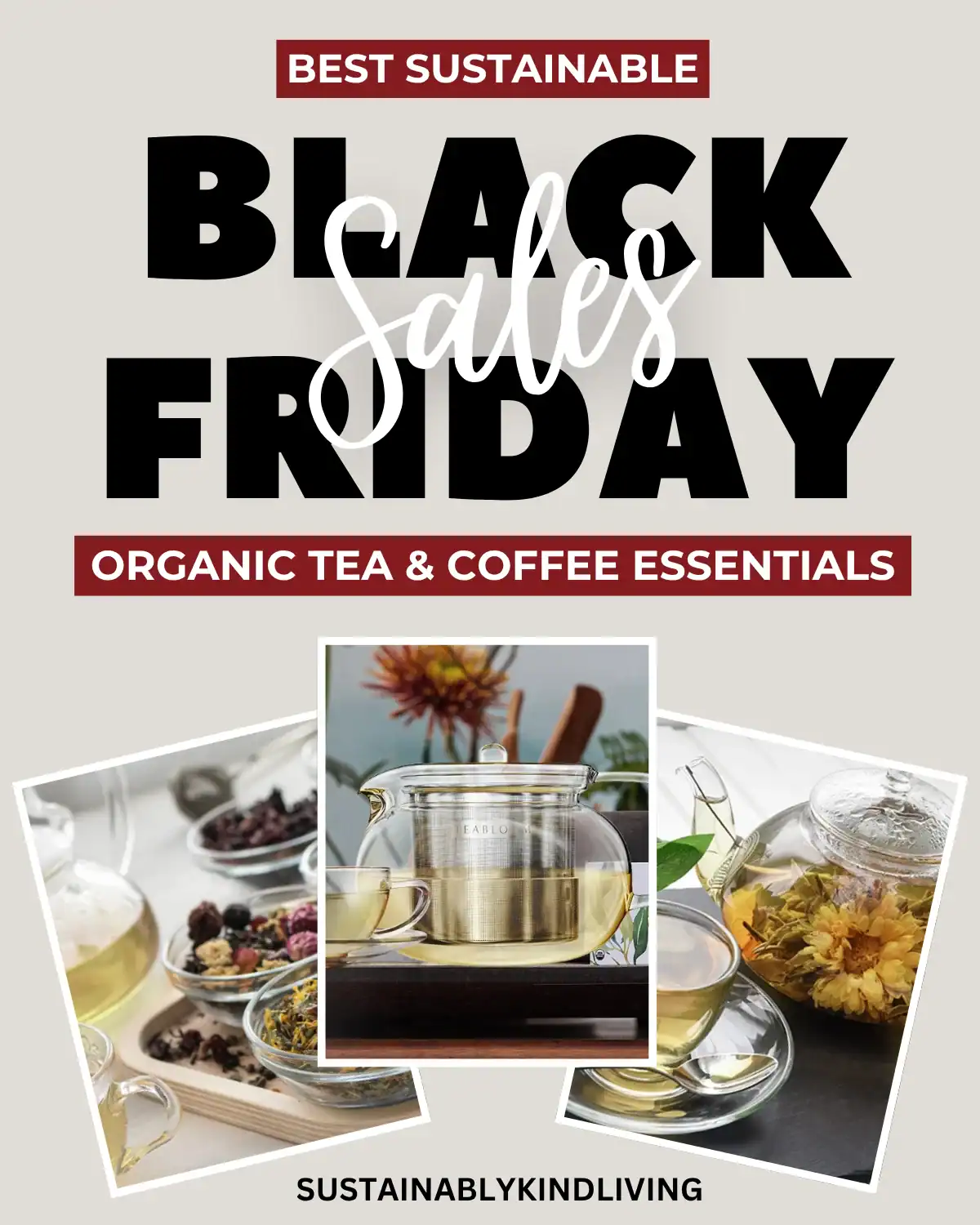 TeaBloom non-toxic tea and coffee essentials made with safe glass and stainless steel, perfect for eco-friendly Black Friday beverage lovers.