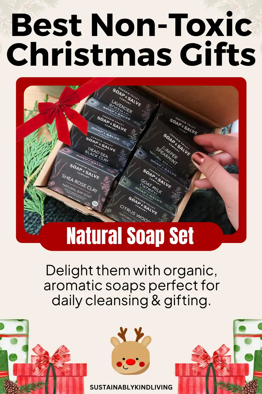 Organic cold-processed soap sampler by Chagrin Valley – safe skin gift set.