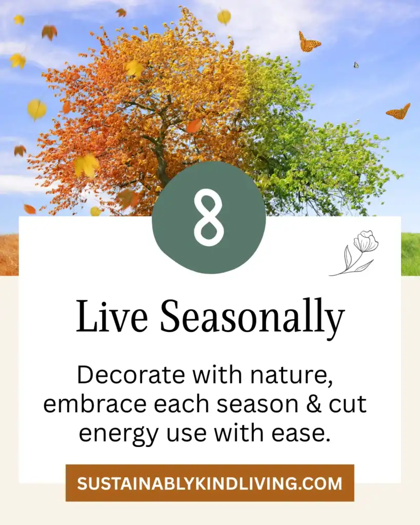 Live Seasonally: Tree showing different seasonal colors with leaves falling against a blue sky.
