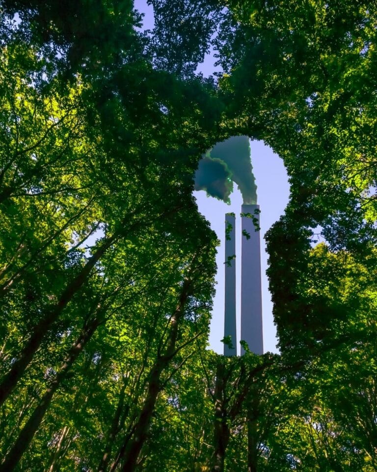 Greenwashing Guide 2026