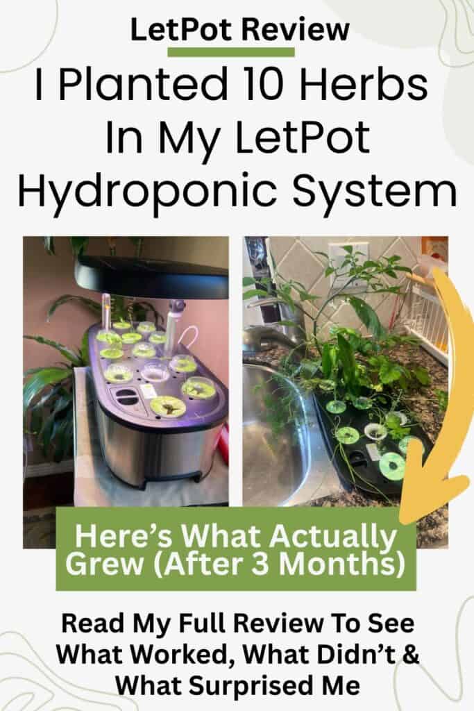 Graphic showing a LetPot hydroponic system before and after growing herbs, with text stating “I Planted 10 Herbs in My LetPot Hydroponic System” and “Here’s What Actually Grew After 3 Months.”