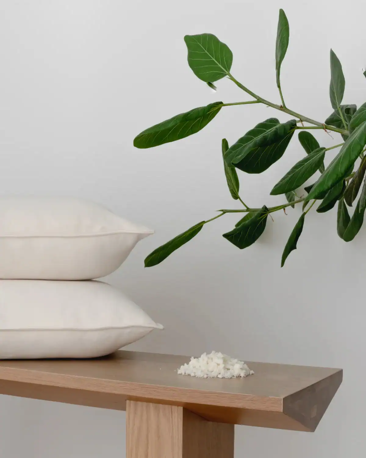 Obasan GOLS certified organic latex pillow with GOTS organic cotton cover.