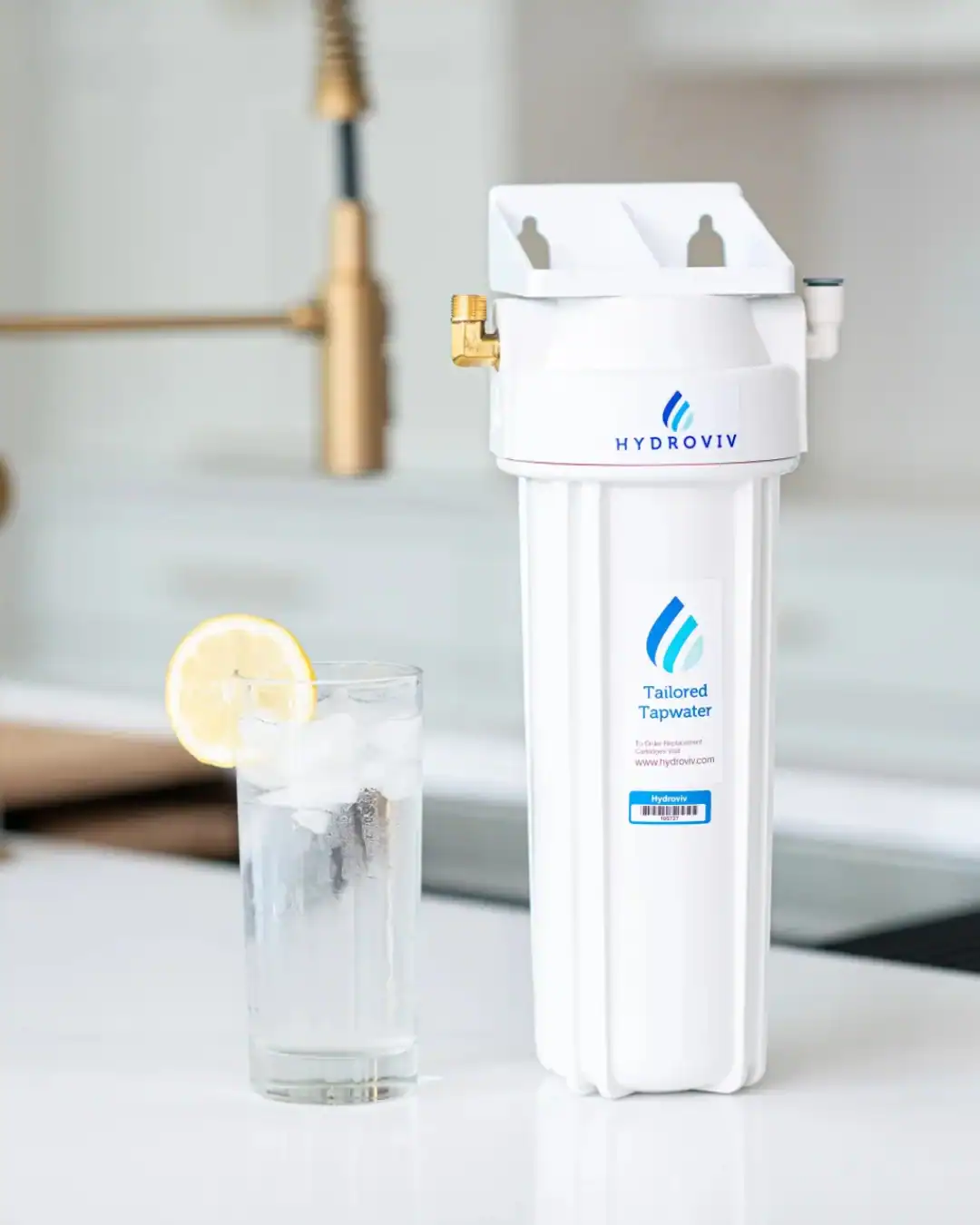 Hydroviv custom water filter designed for PFAS and local drinking water contaminants.
