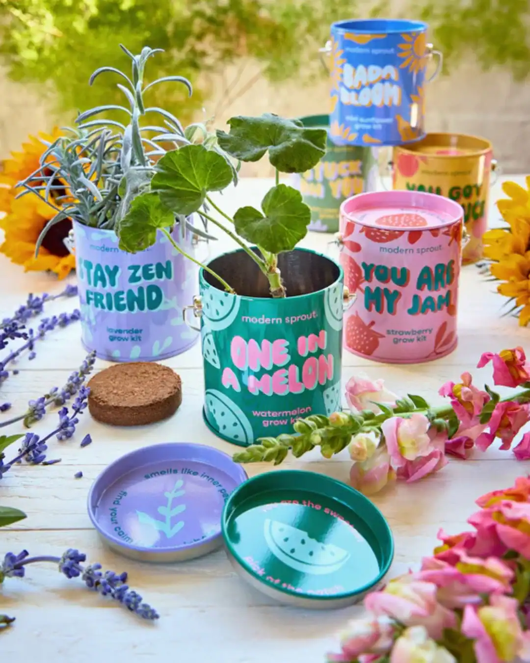 Kids gardening kit with non-GMO seeds and compostable packaging.