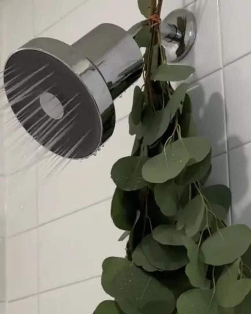 Jolie filtered shower head designed to improve hair health and reduce chlorine exposure.