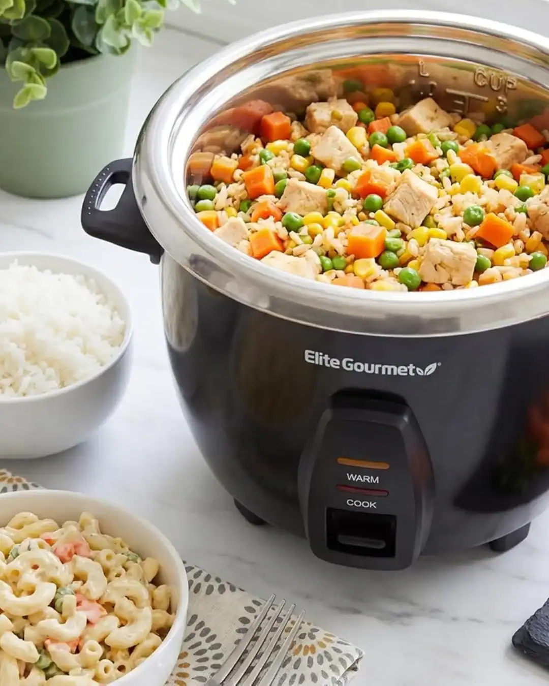 Elite Gourmet rice cooker with a 304 stainless steel inner pot and a simple design.