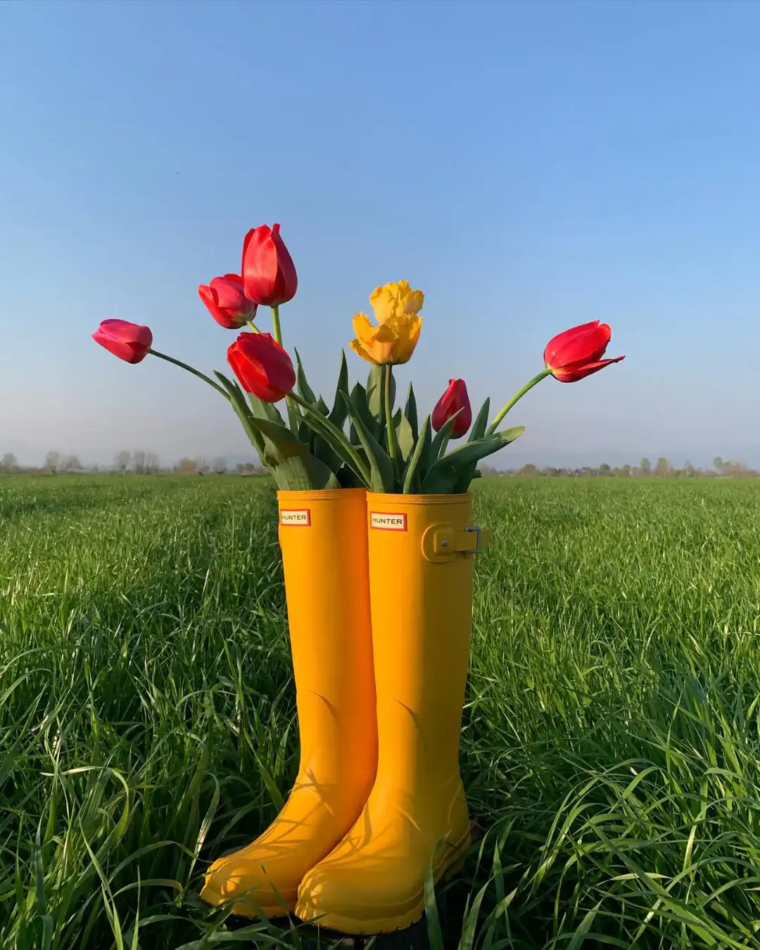 Hunter Boots made from FSC-certified natural rubber offering classic PVC-free waterproof protection.