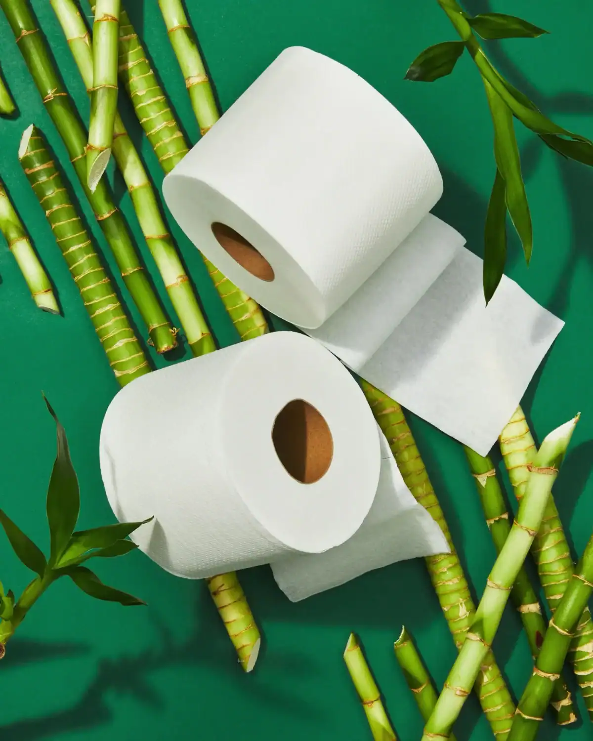 Grove Co bamboo toilet paper rolls arranged as part of a household subscription delivery system in eco-friendly packaging.