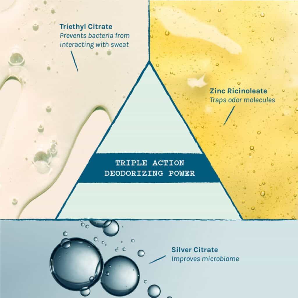 how Blissoma natural deodorant works with zinc ricinoleate triethyl citrate and silver citrate for odor control