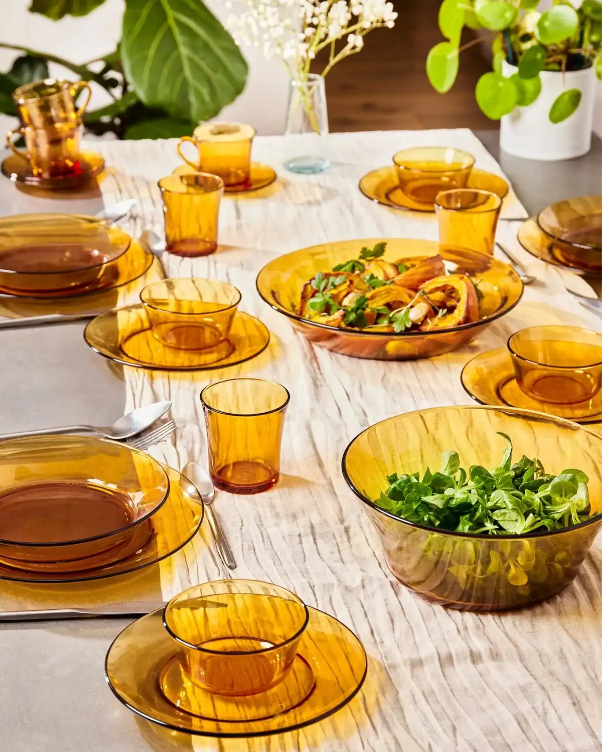 Duralex tempered glass dinnerware made in France and free from lead, cadmium, and BPA.