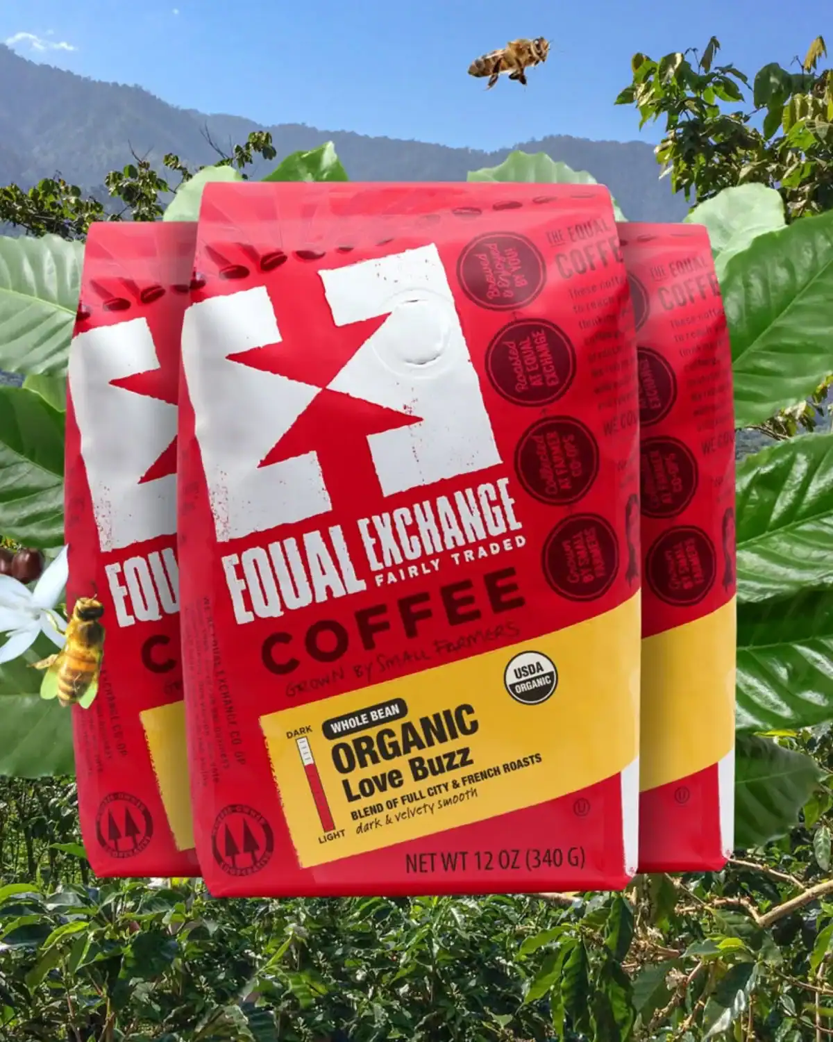Equal Exchange Fair Trade organic coffee sourced from farmer-owned cooperatives using transparent and ethical sourcing practices.