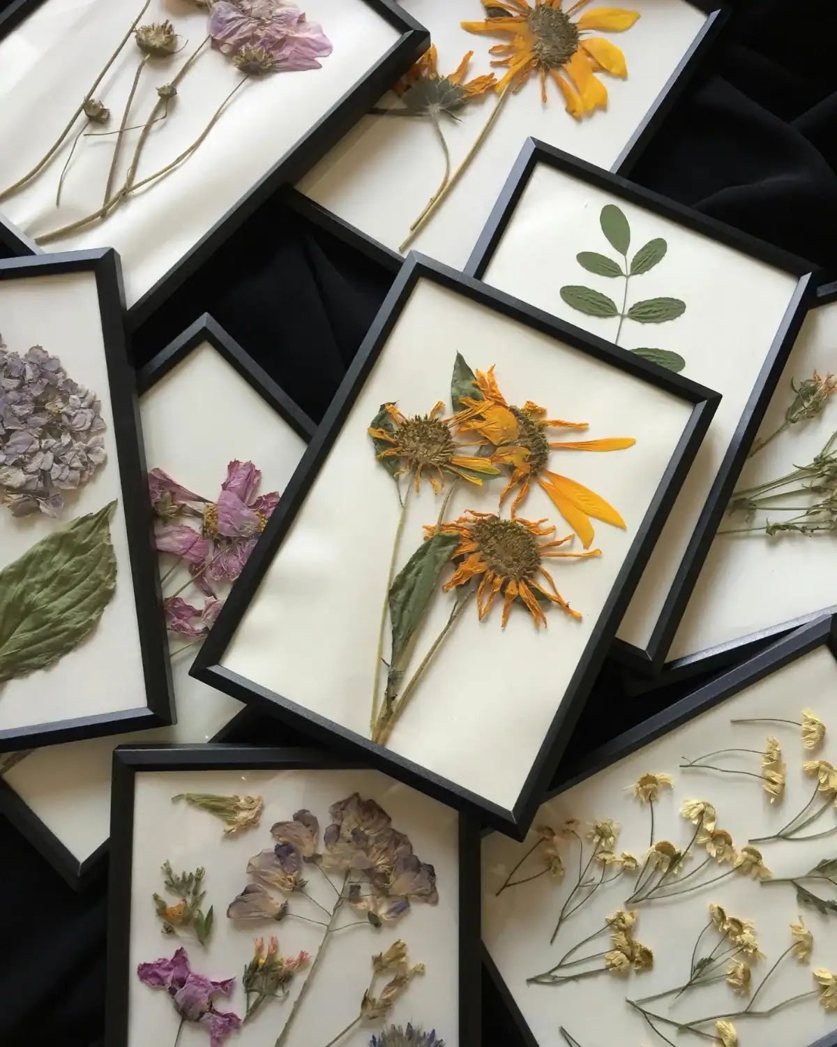 Pressed wildflowers framed as handmade wall art.
