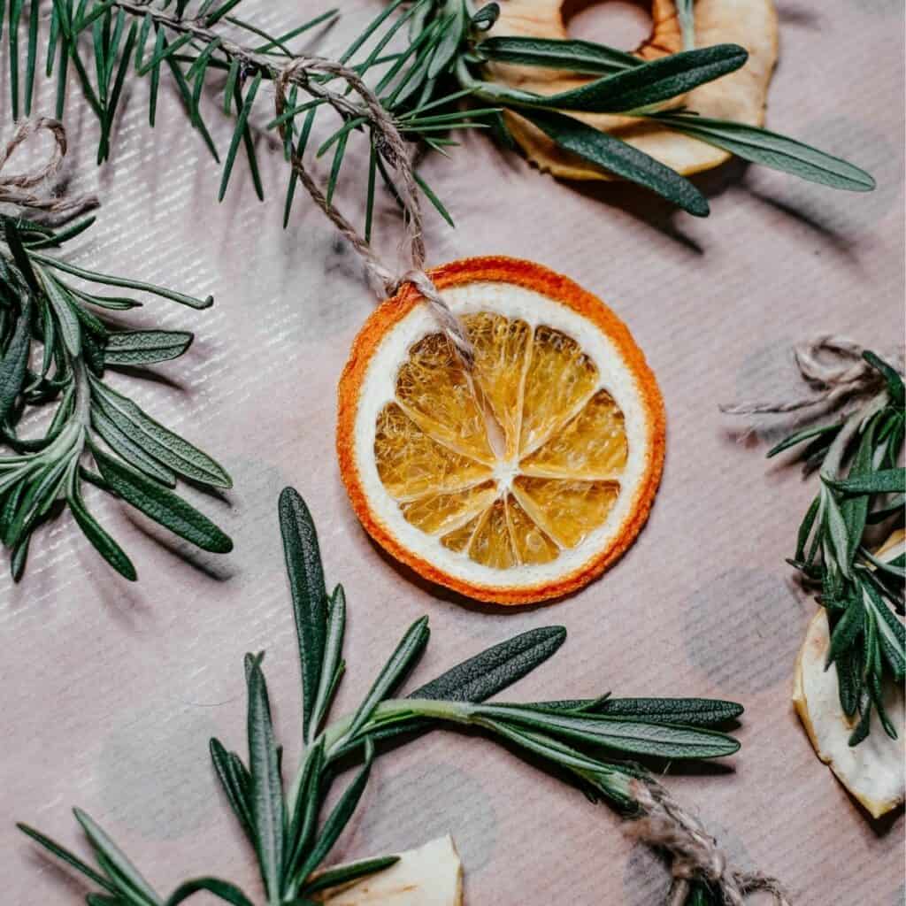 Dried orange slice ornament with rosemary for natural, non-toxic Christmas decor.