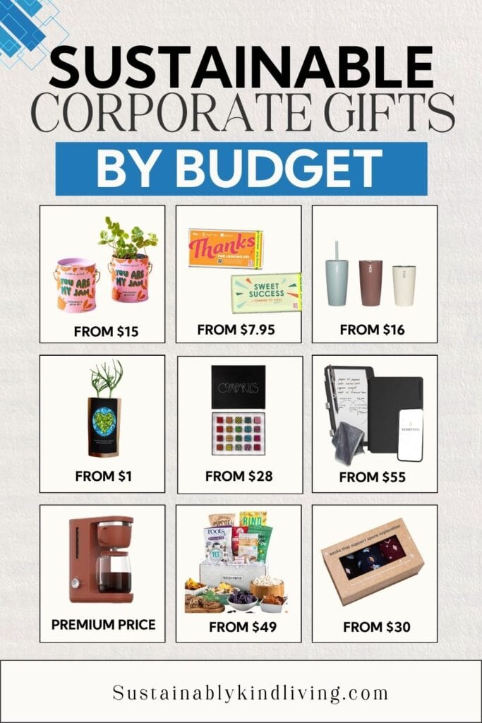Sustainable corporate gifts organized by budget, including plant growing kits, thank-you chocolates, reusable tumblers, plantable gifts, boxed chocolates, reusable notebooks, coffee maker, snack gift box, and socks.