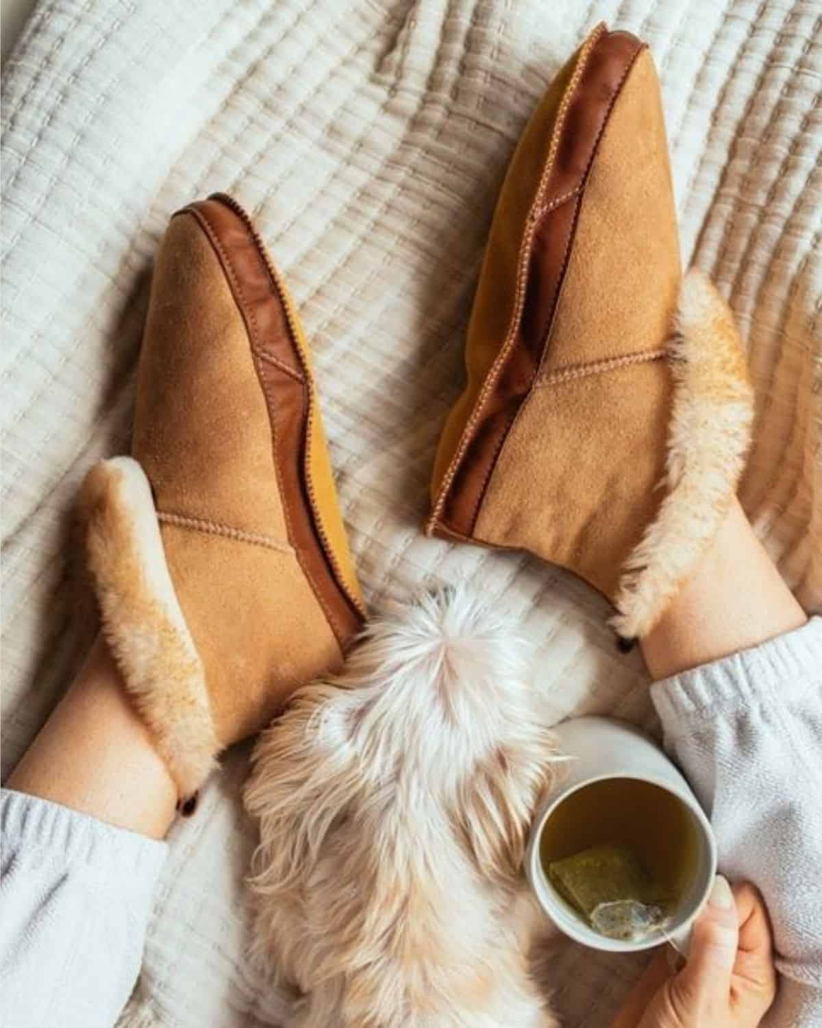 Tan Softstar Fireside slippers with fluffy cream cuffs, worn on a blanket beside a small dog and a mug of tea.